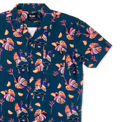 Shop All – Twisted Toucan